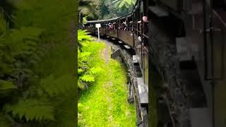 🇭🇲Puffing Billy Railway Melbourne Australia hymntothesea travel train melbourne australia [upl. by Stafford]