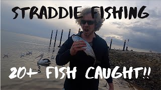 NORTH STRADBROKE ISLAND  Crazy Bonito Fishing 20 fish caught [upl. by Naitsabes]