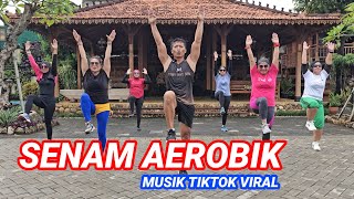 SENAM AEROBIK PENURUNAN BERAT BADAN MUSIK VIRAL [upl. by Halian]