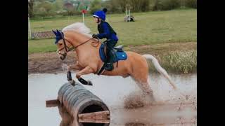 Harlow and popcorn show jumping [upl. by Dun]