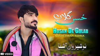 Husan De Gulab  Nosherwan Ashna  New Pashto Songs 2024 [upl. by Wileen379]