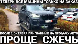 НОВЫЙ УТИЛЬ льготной растаможке конец пригнанных машин в продаже не будет дилеры станут не нужны [upl. by Verger155]