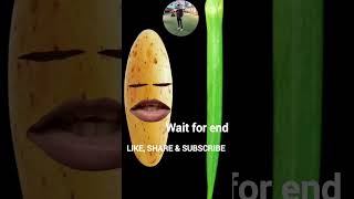 आलू भिंडी की लड़ाई 🤣 🤣🤣 shorts funny shortsvideo [upl. by Foushee]