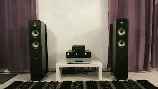 Polk Audio s55e signature [upl. by Notlrahc348]