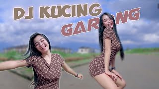 DJ Kucing Garong  Full Bass [upl. by Lonny]