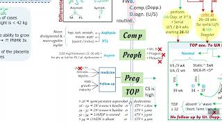 FGR3 Fetal Growth Restriction [upl. by Yessak]