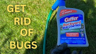 Lights Camera… Bug Control A Hidden Gem S4 E12 Front Yard [upl. by Dnyletak]