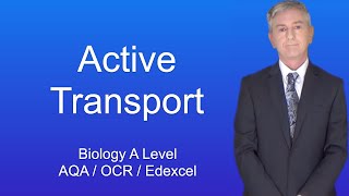 A Level Biology Revision quotActive Transportquot [upl. by Annaiuq785]