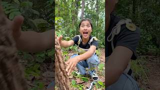 Survival Skills In Forest Kitten rescue survival bushcraft camping outdoors forest kitten [upl. by Giffy]