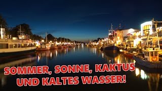 Sommer Sonne Kaktus UND kaltes Wasser  MrShitstorm [upl. by Nuriel]