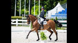 St George dressage gelding FOR SALE [upl. by Ejrog347]