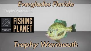 Fishing Planet Trophy Warmouth Everglades Florida [upl. by Cohby]