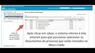 Tutorial SEI UFCSPA Incluindo documentos em bloco de assinaturas [upl. by Nynnahs]