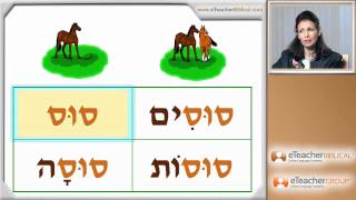 Learn Biblical Hebrew  lesson 6  Nouns and Adjectives  by eTeacherBiblicalcom [upl. by Nirrak]