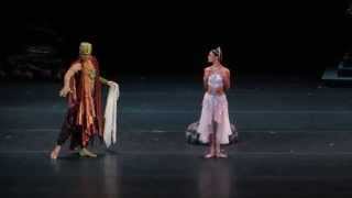 Kristina Shapran  La Bayadere 21102013 [upl. by Etsirk]