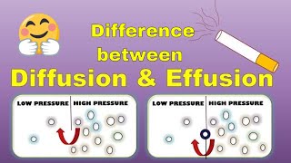 Difference between Diffusion and Effusion Class 11 Chemistry Real Life Examples  Gaseous State [upl. by Annaert]