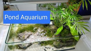 Pond Aquarium Umgestaltung [upl. by Rosamond443]