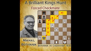 Brilliant Kings Hunt  Botvinnik vs Chekhover 1935 [upl. by Honan879]