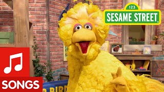 Sesame Street Big Bird Sings Happy to Be Me Song [upl. by Einahpit]