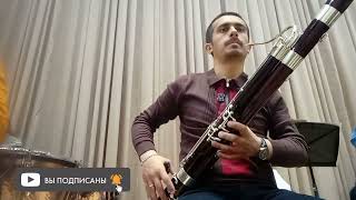 Mikhail Glinka Jota Aragonesa Bassoon solo fragments [upl. by Annecorinne912]