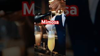 Mimosa recipe cocktail mimosa classiccocktails didothankyou thankgodido lyrics song songs [upl. by Arekahs]