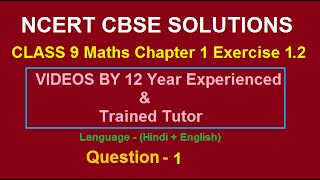 ncert solutions for class 10 maths chapter 1 Real numbers Exercise 12 Question 1 [upl. by Bogoch490]