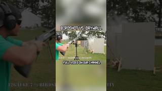 BIRDSHOT VS DRYWALL birdshot shotgun homedefense training test shorts short shortsvideo [upl. by Alcot]