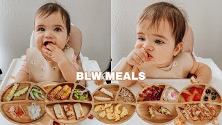 Easy Baby Led Weaning Meals  My Babys Favorite Foods For Breakfast Lunch amp Dinner [upl. by Hadley206]