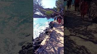 🏖 Playas Mallorca en Octubre Valen la pena Spain 🇪🇸 beach playamallorca travel shortsvideo [upl. by Lari135]