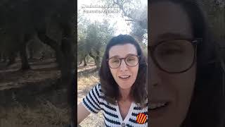 Elisenda Pineda  Mantinc el català [upl. by Turpin]