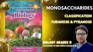 Monosaccharides  Aldo amp Keto Sugars  Furanose amp Pyranose Sugars  Grade 11 Biology  Federal KPK [upl. by Harve]