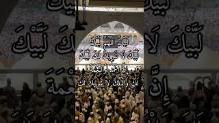 Labaik allahumma labaik shortsfeed youtubeshorts youtube hajj2024 [upl. by Lalad513]