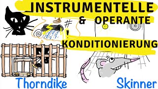 Instrumentelle amp operante Konditionierung  Skinner Thorndike und der Behaviorismus [upl. by Nay]