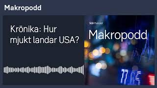 Makropodd  Krönika Hur mjukt landar USA [upl. by Charyl855]