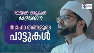 റബീഉൽ അവ്വലിൽ കേട്ടിരിക്കാൻ ത്വാഹാ തങ്ങളുടെ പാട്ടുകൾ  Hits Of Thwaha Thangal Pookkottur [upl. by Low]