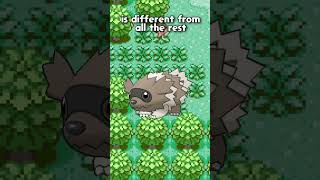 Zigzagoons Poetic Underdog Story In Gen 3 Pokemon [upl. by Gunn]