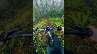 🚴‍♂️🌟 Cycling Adventure Epic Rides 🌄 shorts cycling adventure offroad nature thrilling 丘を登る [upl. by Elumas]