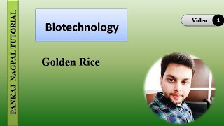 1 GOLDEN RICE Application of Recombinant DNA technology [upl. by Erastus]