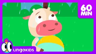 Who Took the Cookie 🔎 🍪  More Nursery Rhymes for Kids  Lingokids [upl. by Anadroj950]