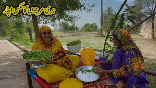 Green Chilli 🌶️ Mix Achar  Village Lifestyle Punjab Pakistan [upl. by Sinaj]