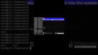 Linux w who whoami Commands  1 Minute Linux Commands  wwwipciscocom [upl. by Etaner]