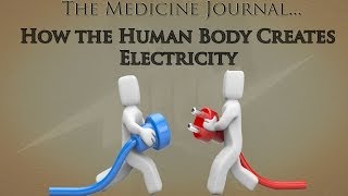 How the Human Body Creates Electricity [upl. by Bow370]