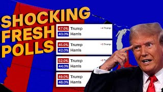 2024 Election Map Shocking Poll Results Across All 50 States Revealed [upl. by Mcgill296]