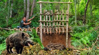 Follow the wild boar herd dig holes and set traps to wait for 5 days Survive Alone  phượng pú [upl. by Avehs544]