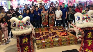 新加坡腾陽龍獅體育會 Singapore Teng Yang Lion Dance Performance  Sport Hub FampN CNY Roadshow on the 21124 [upl. by Vanderhoek]