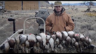 California Duck HuntingTule Lake 2020 [upl. by Ttihw873]