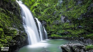 Musica para dormir rápido e relaxar profundamente DURMA EM 5 MINUTOS com Sons da Natureza [upl. by Bruckner623]