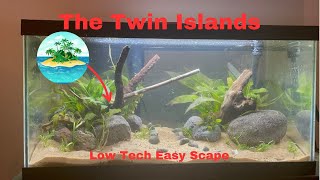 How To Set Up an EASY Twin Island Low Tech Aquascape Full How To Guide [upl. by Tnerual]