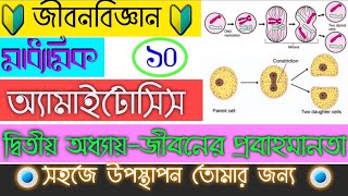 অ্যামাইটোসিসPart9 কোশ বিভাজন  Amitosis  Cell Division  জীবনের প্রবহমানতা  Madhyamik [upl. by Airal]