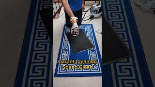 Carpet Cleaning Speed Clean [upl. by Quillon894]